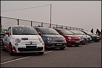 DSC_6299DG.jpg