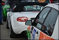 DSC_6415.JPG