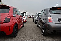 DSC_6981D.jpg