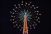 DSC_7025D_RAW.jpg