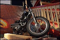 DSC_7229.JPG