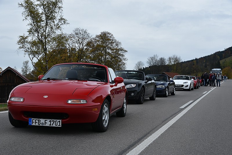 DSC_3063.JPG