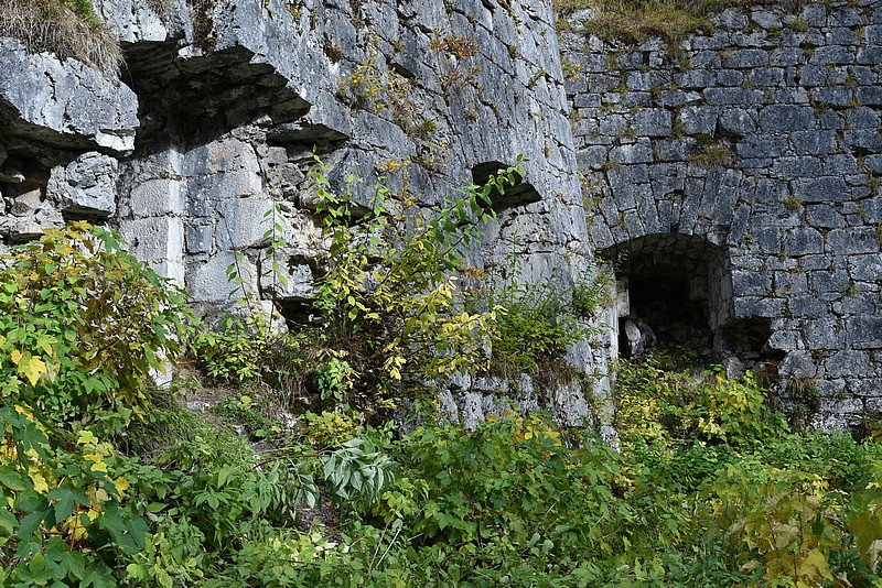 DSC_3069.JPG