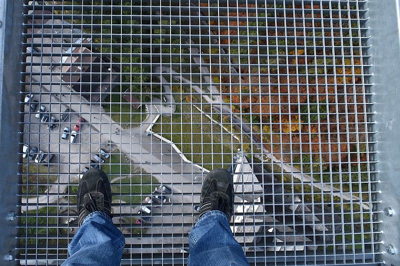 DSC_3100C.jpg