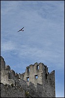 DSC_3094CDRAW.jpg