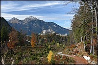 DSC_3114.JPG