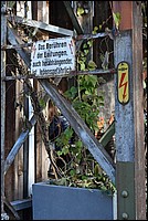 DSC_3181.JPG