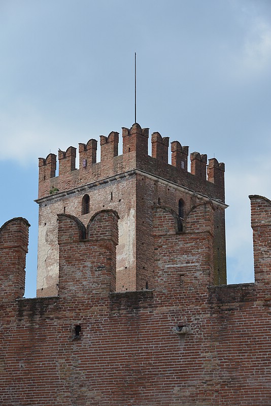 DSC_0203.JPG