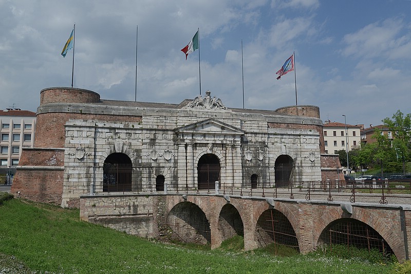 DSC_0242ERAW.jpg