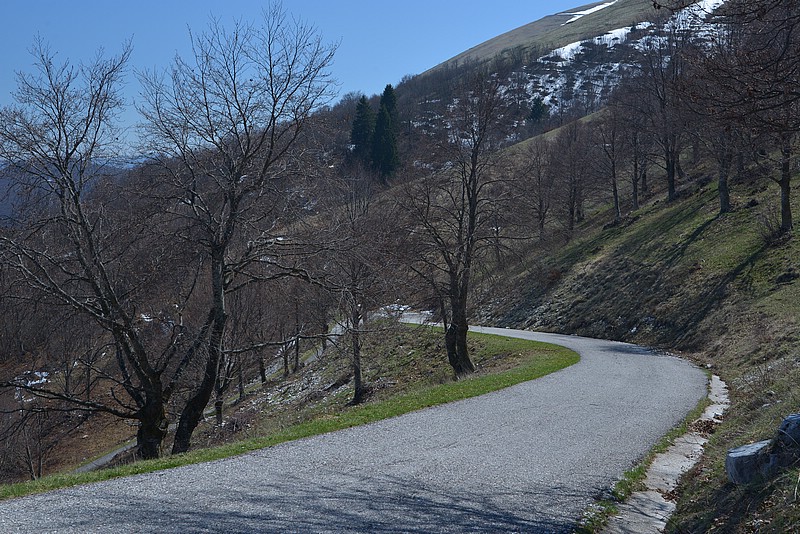 DSC_9546.JPG
