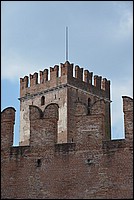 DSC_0203.JPG