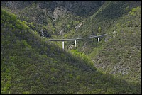 DSC_9292.JPG