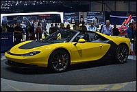 DSC_8972CES.jpg