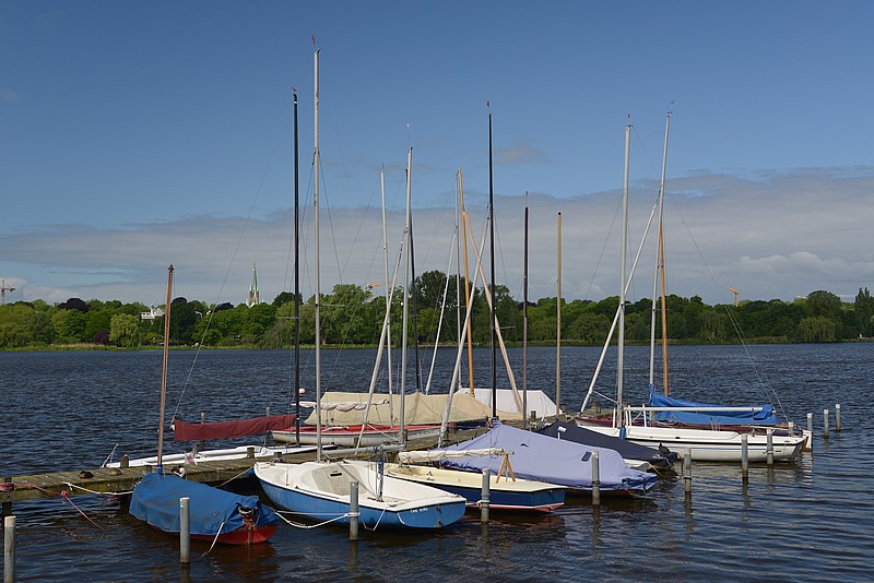 AFC_0998.JPG