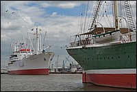 AFC_1251CRAW.jpg