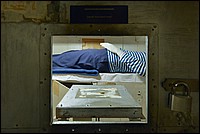 AFC_1497CRAW.jpg