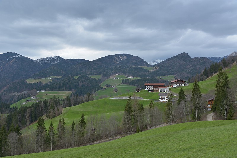 DSC_9193.JPG