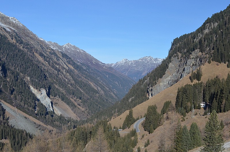 DSC_0419.JPG