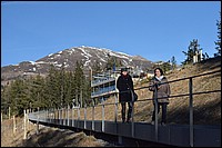 DSC_0383.JPG