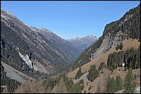 DSC_0419.JPG