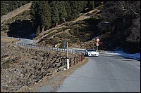 DSC_0431.JPG