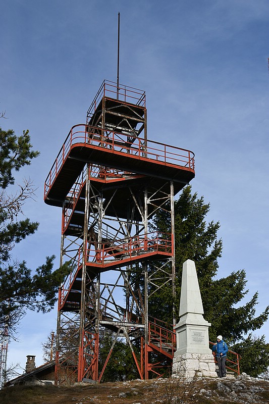 DSC_3375RAW.jpg