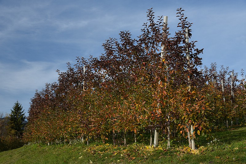 DSC_3389RAW.jpg
