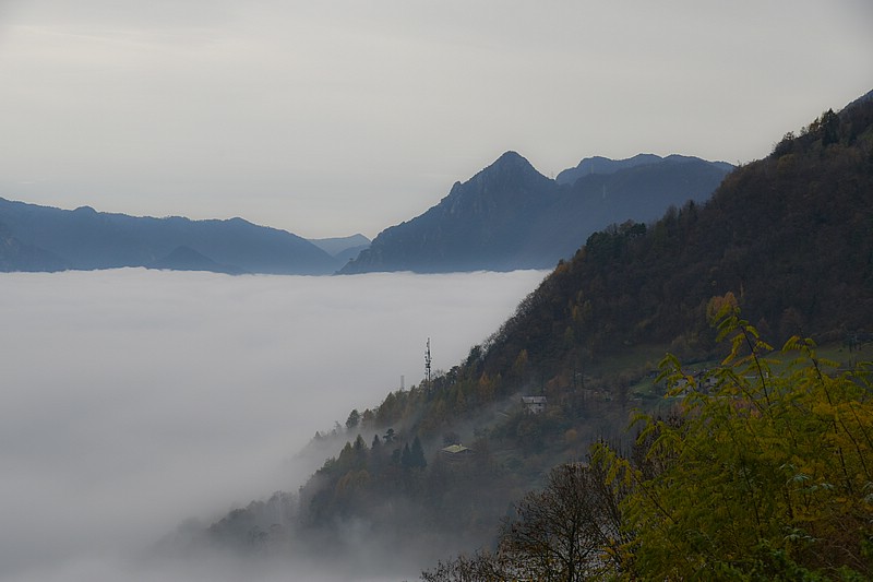 DSC_3597RAW.jpg