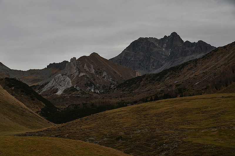 DSC_3605RAW.jpg