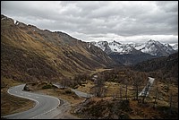 DSC_3650.JPG