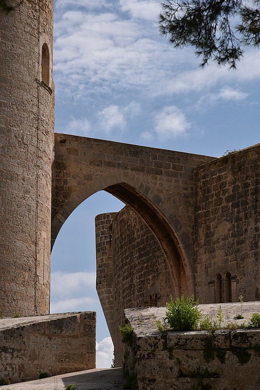 DSC_1636RAW.jpg