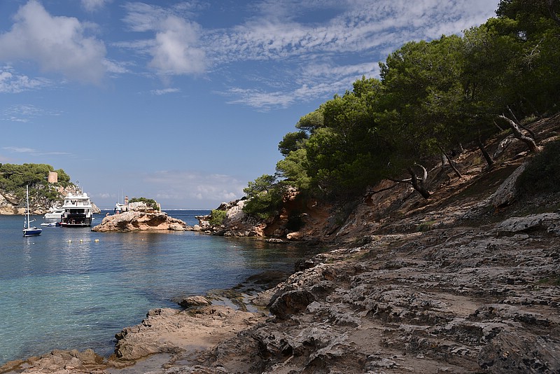 DSC_1685.JPG