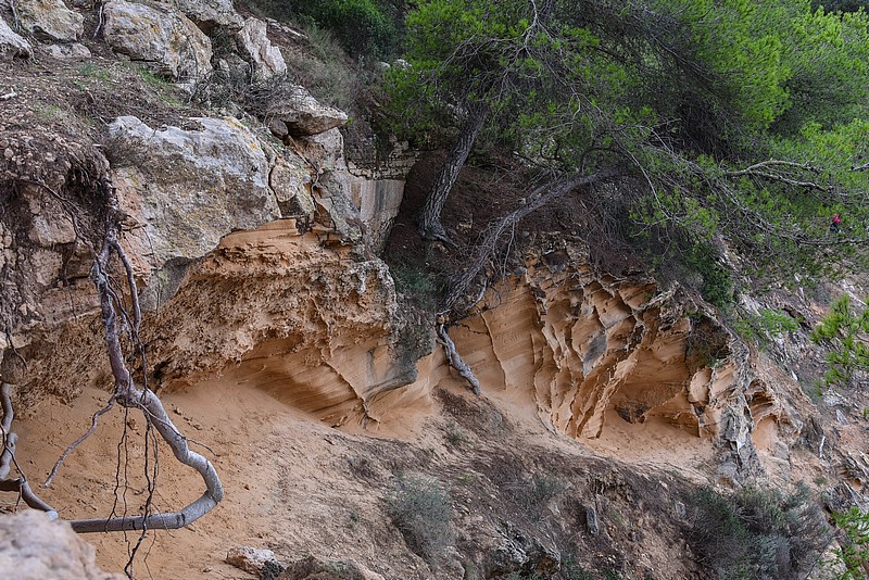 DSC_1762RAW.jpg