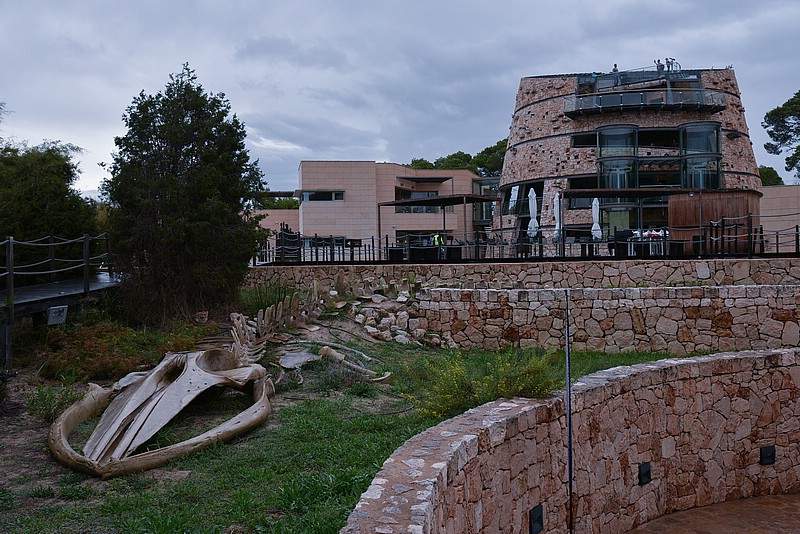DSC_1969RAW.jpg