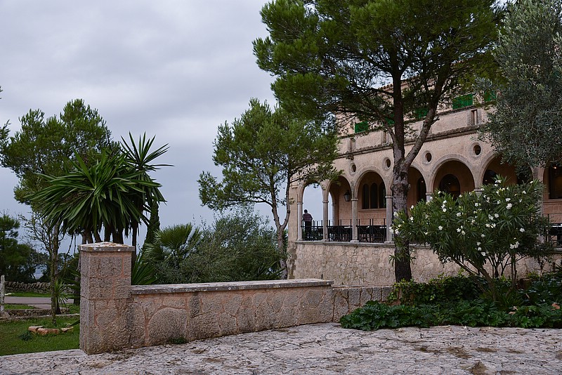 DSC_1971RAw.jpg
