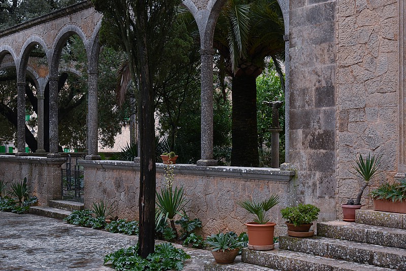 DSC_1989RAW.jpg