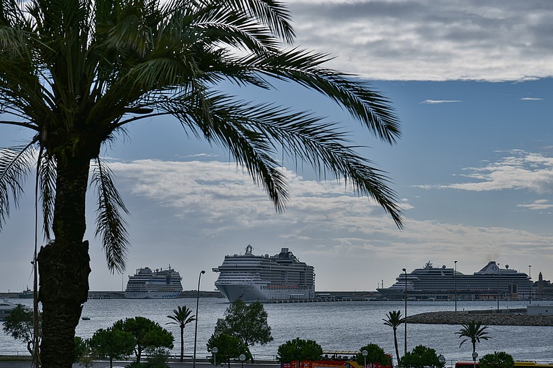 DSC_2033RAW.jpg