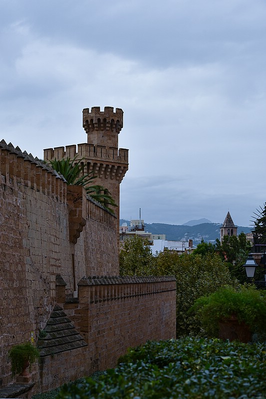 DSC_2061RAW.jpg