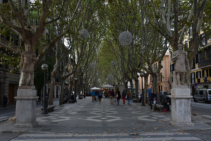 DSC_2129RAW.jpg