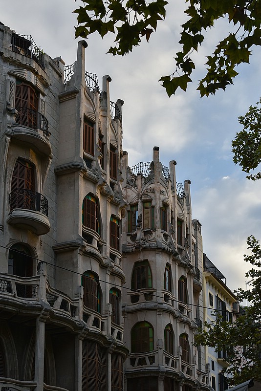 DSC_2185RAW.jpg