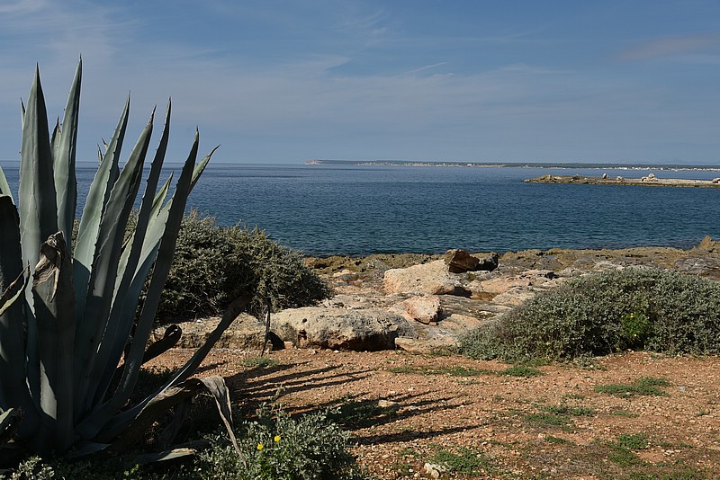 DSC_2724.JPG