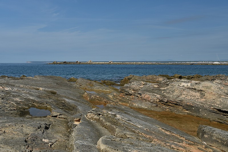 DSC_2730.JPG
