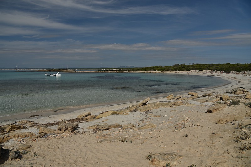 DSC_2770.JPG