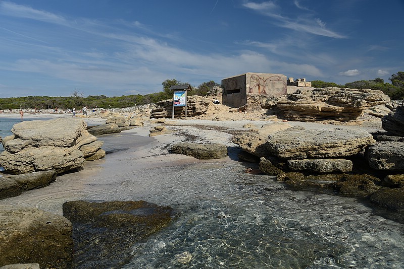 DSC_2813.JPG