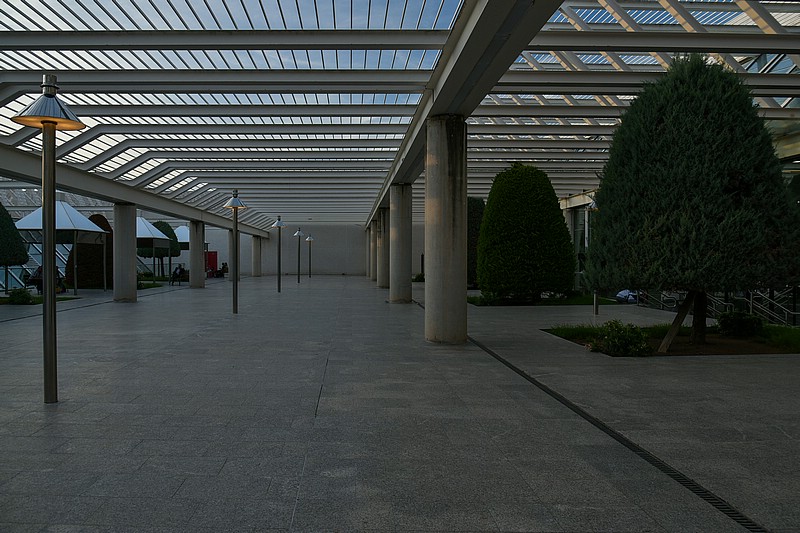 DSC_2833RAW.jpg