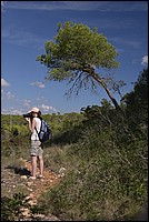 DSC_1437.JPG