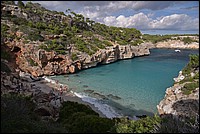 DSC_1501.JPG