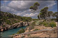 DSC_1504.JPG