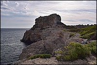 DSC_1512RAW.jpg