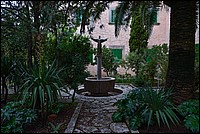 DSC_1988RAW.jpg